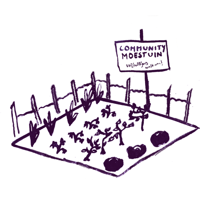 Sketch of a vegetable garden